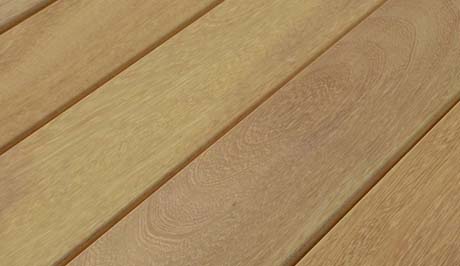 Iroko Decking Exmouth